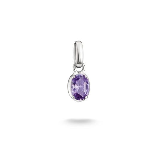 THOMAS SABO Connect Charm Birthstone February