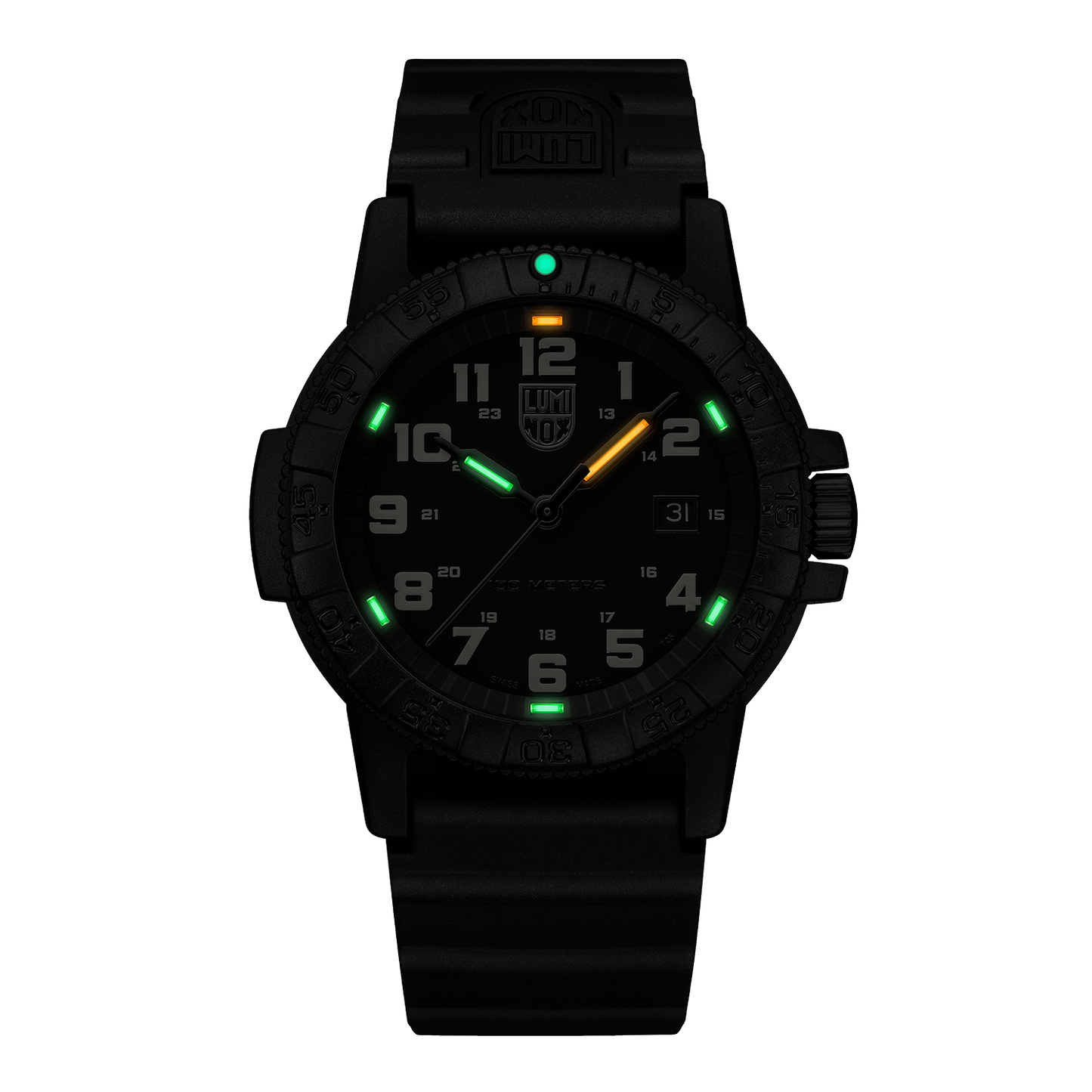 Luminox Leatherback SEA Turtle