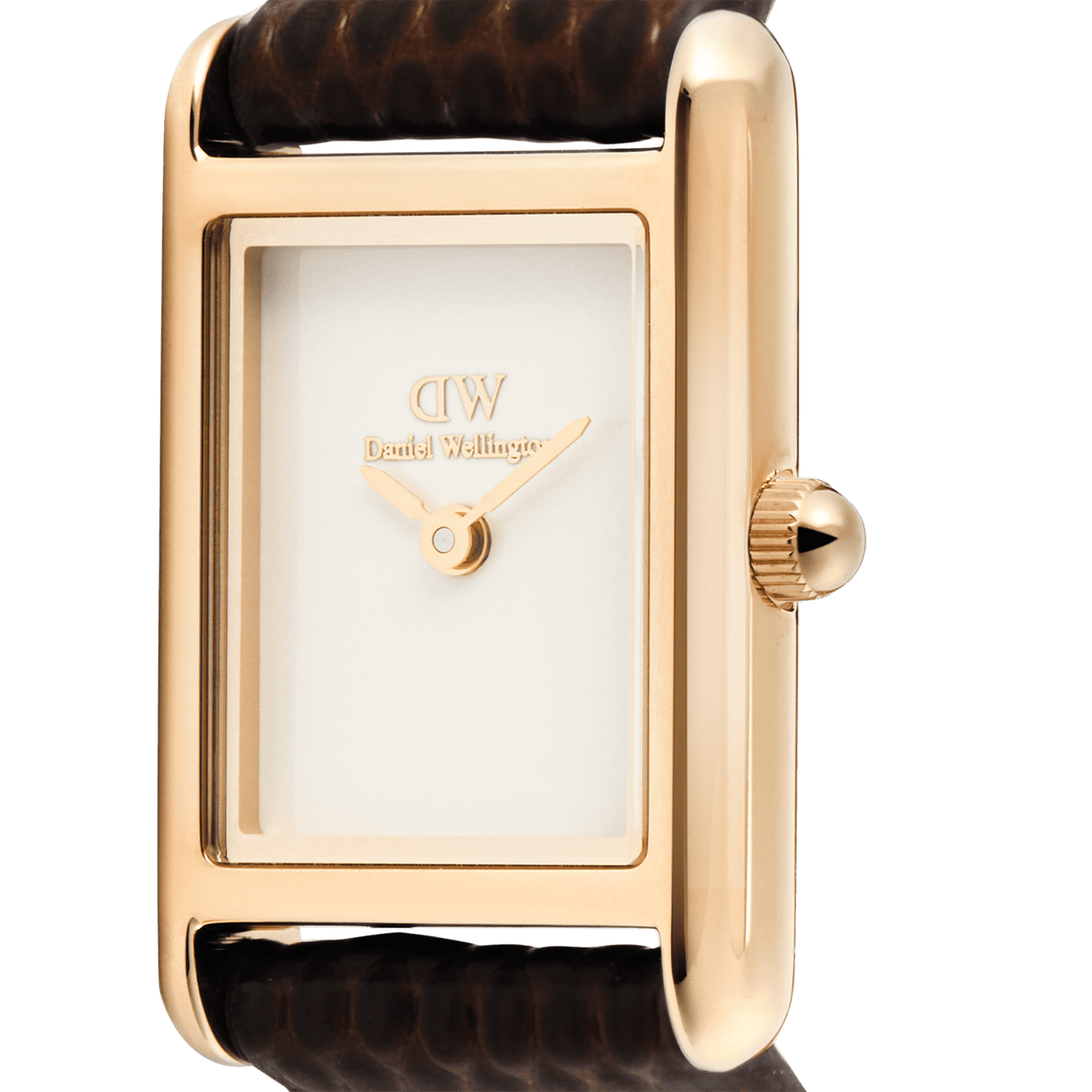 Daniel Wellington Bound Mini Dark Brown Lizard Rose Gold