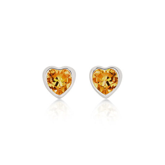 Silver NOVEMBER Birthstone Studs